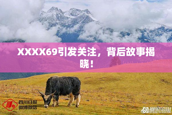 XXXX69引发关注，背后故事揭晓！