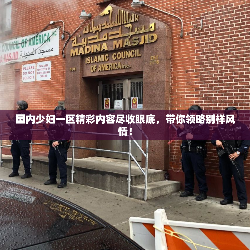 国内少妇一区精彩内容尽收眼底，带你领略别样风情！