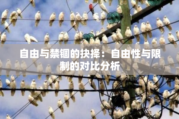 自由与禁锢的抉择：自由性与限制的对比分析