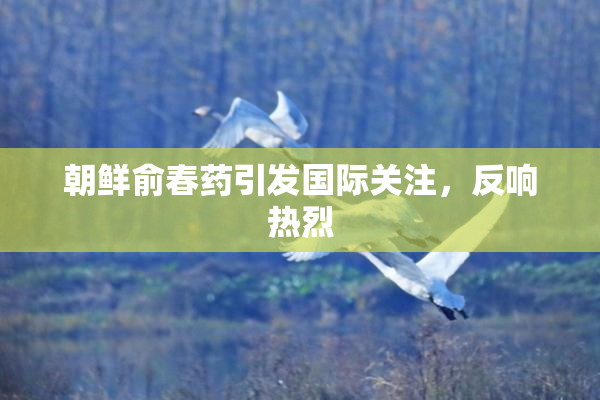 朝鲜俞春药引发国际关注，反响热烈