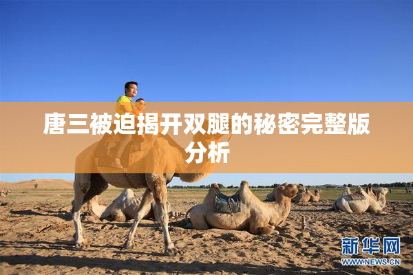唐三被迫揭开双腿的秘密完整版分析