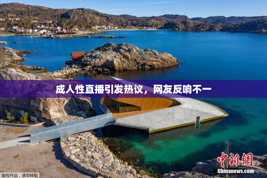 成人性直播引发热议，网友反响不一