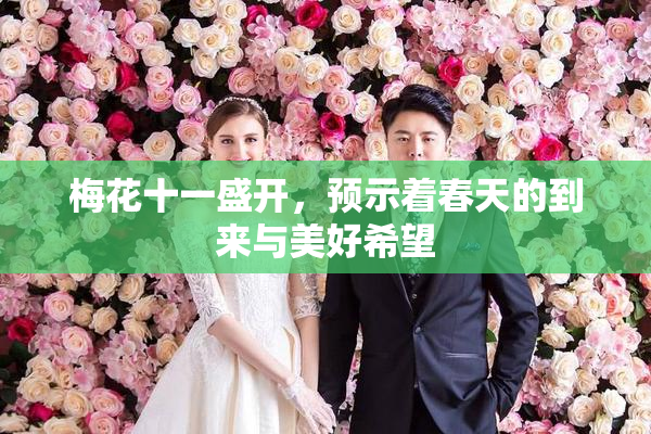 梅花十一盛开，预示着春天的到来与美好希望