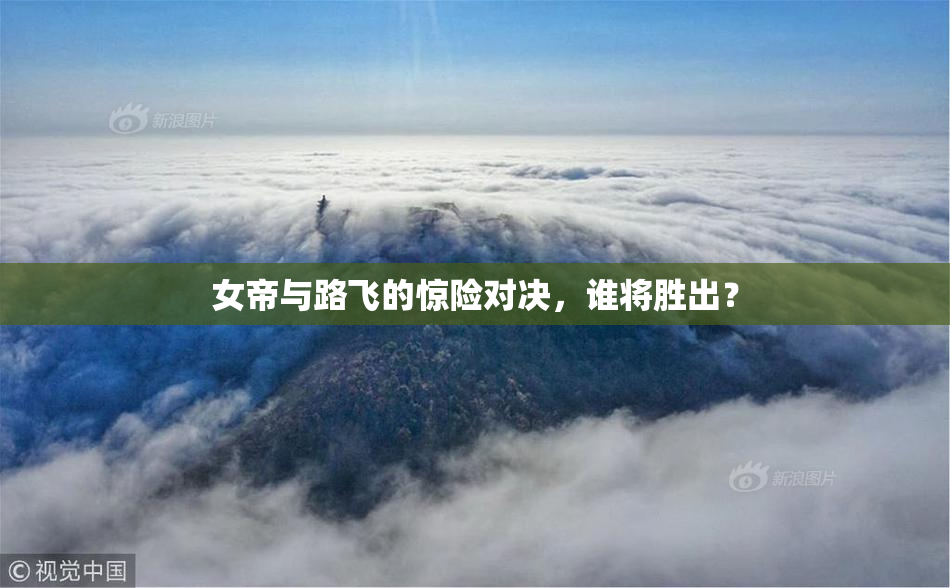 女帝与路飞的惊险对决，谁将胜出？
