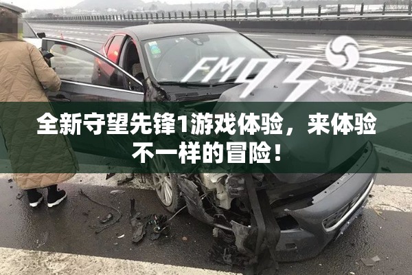 全新守望先锋1游戏体验，来体验不一样的冒险！