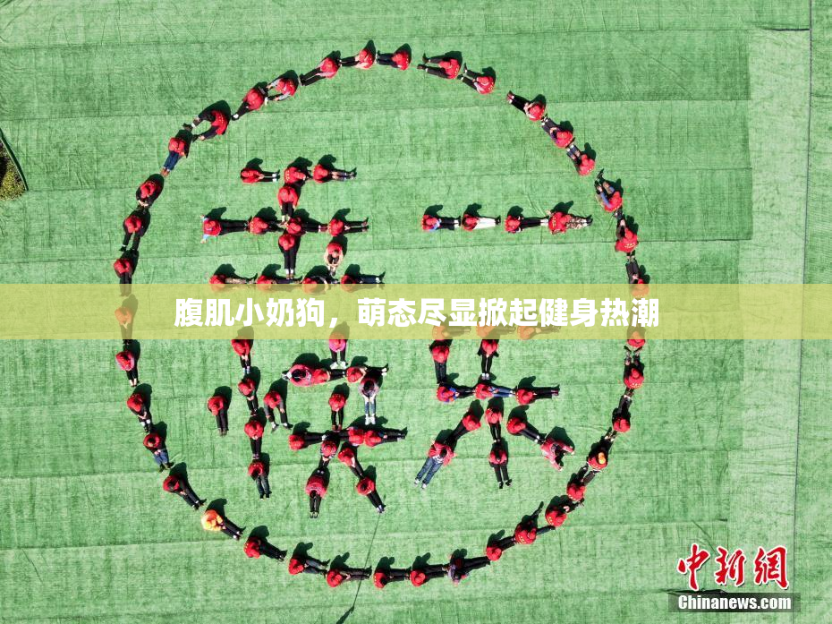腹肌小奶狗，萌态尽显掀起健身热潮