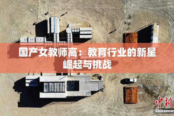 国产女教师高：教育行业的新星崛起与挑战