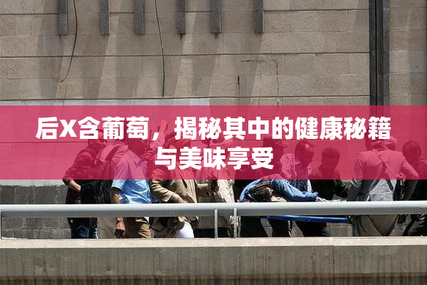 后X含葡萄，揭秘其中的健康秘籍与美味享受