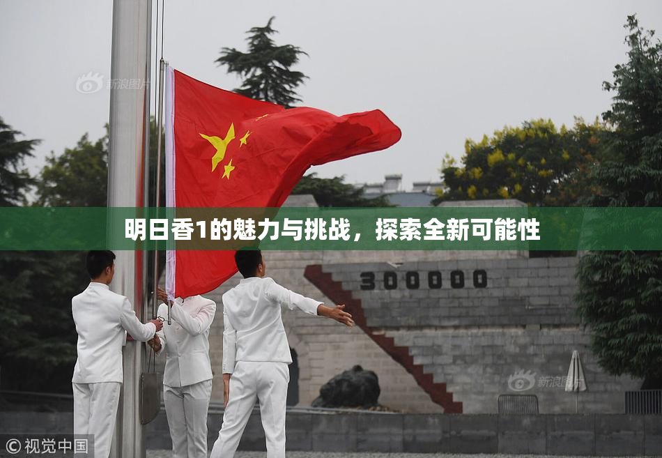 明日香1的魅力与挑战，探索全新可能性