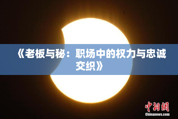 《老板与秘：职场中的权力与忠诚交织》