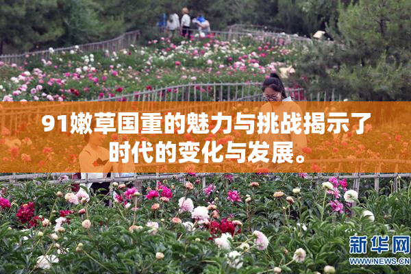 91嫩草国重的魅力与挑战揭示了时代的变化与发展。