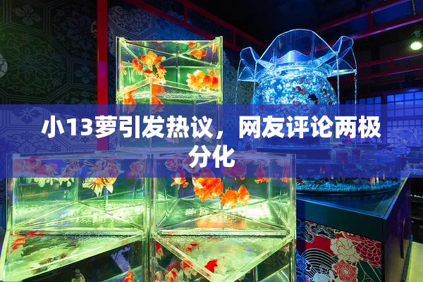 小13萝引发热议，网友评论两极分化