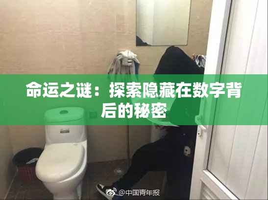 命运之谜：探索隐藏在数字背后的秘密