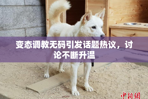 变态调教无码引发话题热议，讨论不断升温