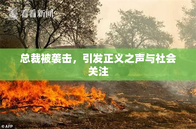 总裁被袭击，引发正义之声与社会关注