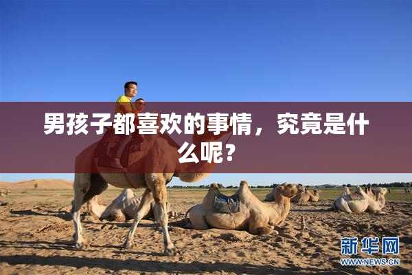 男孩子都喜欢的事情，究竟是什么呢？