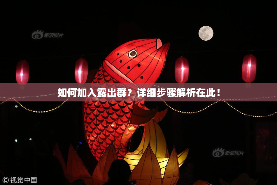 如何加入露出群？详细步骤解析在此！