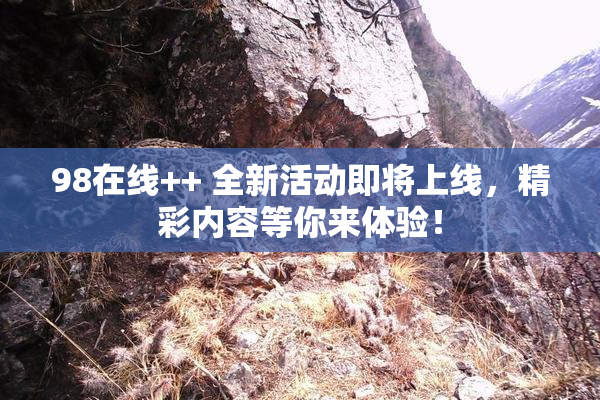 98在线++ 全新活动即将上线，精彩内容等你来体验！