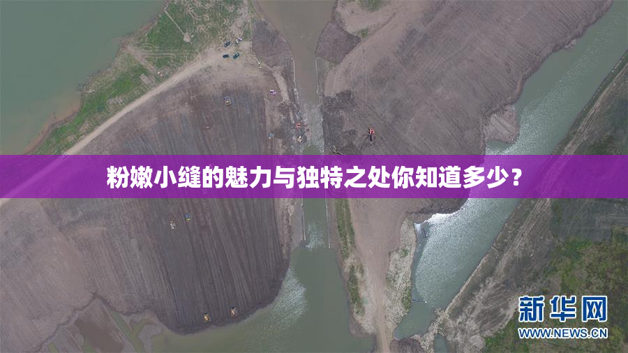 粉嫩小缝的魅力与独特之处你知道多少？