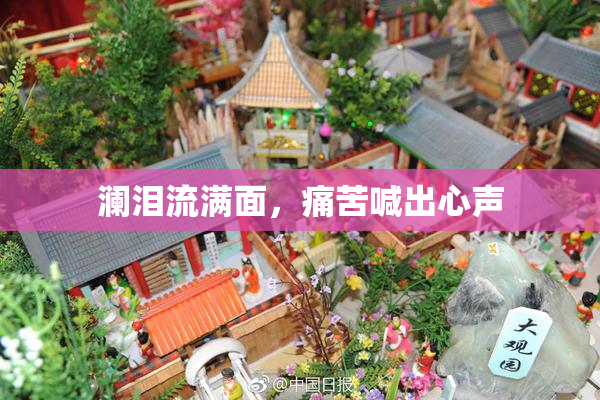 澜泪流满面，痛苦喊出心声