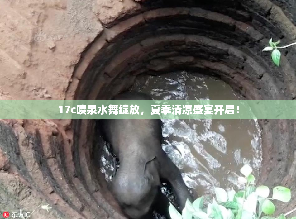 17c喷泉水舞绽放，夏季清凉盛宴开启！