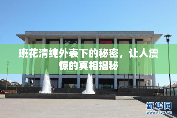 班花清纯外表下的秘密，让人震惊的真相揭秘