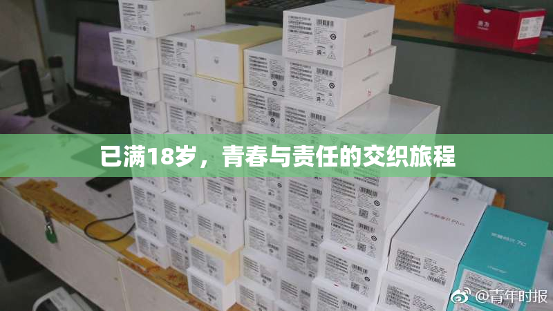 已满18岁，青春与责任的交织旅程