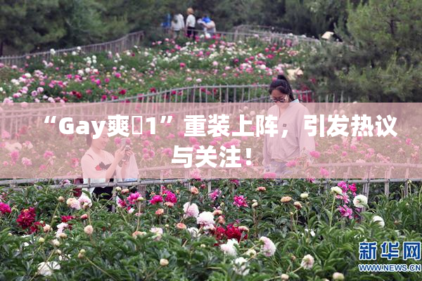 “Gay爽擼1”重装上阵，引发热议与关注！