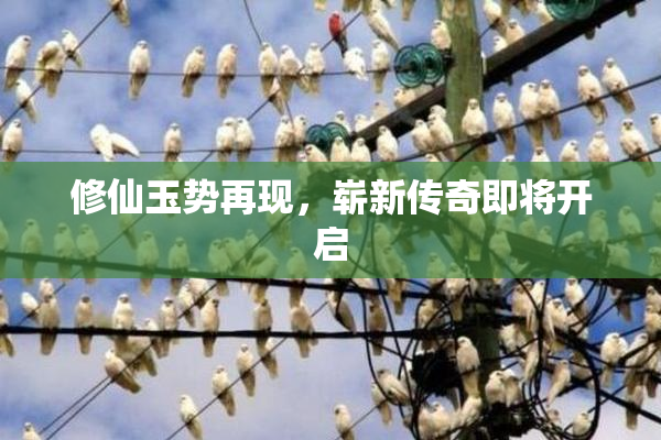 修仙玉势再现，崭新传奇即将开启