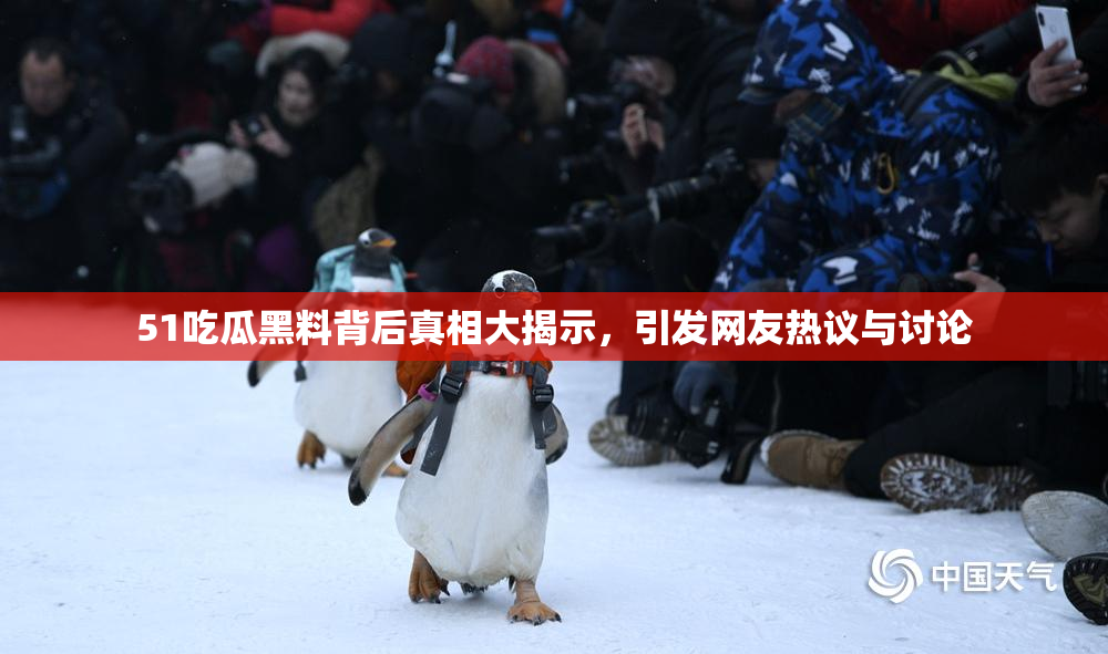 51吃瓜黑料背后真相大揭示，引发网友热议与讨论