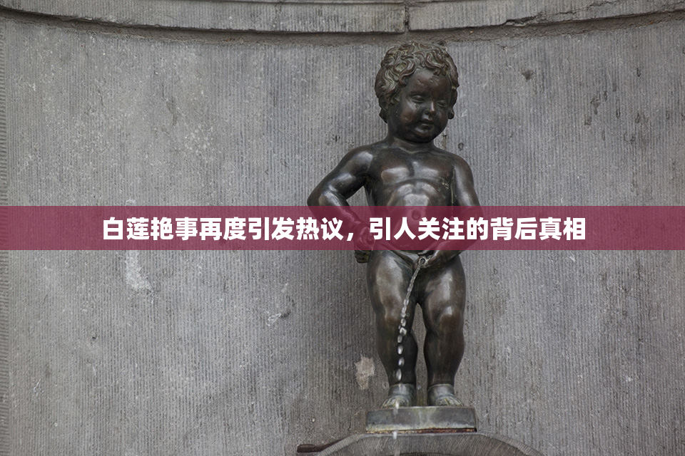 白莲艳事再度引发热议，引人关注的背后真相