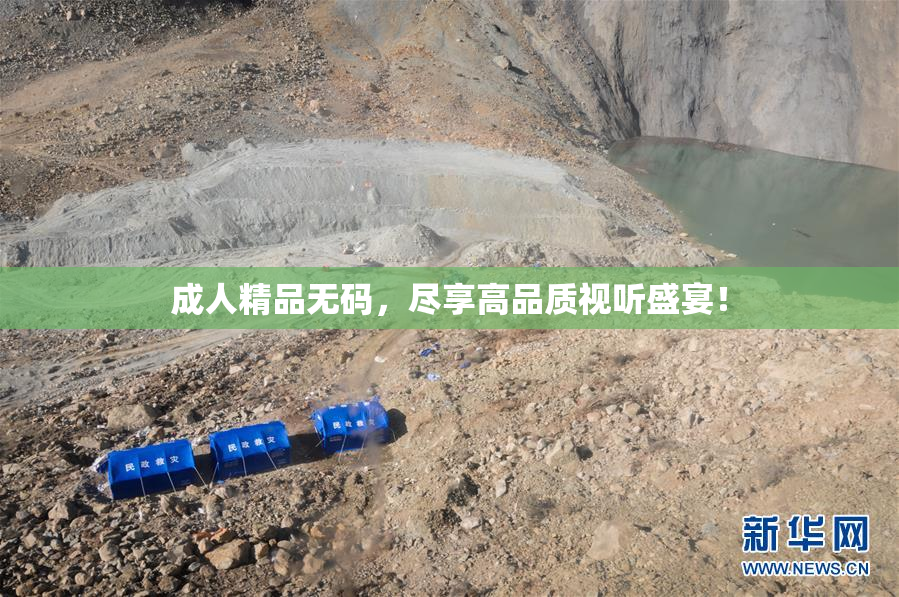 成人精品无码，尽享高品质视听盛宴！