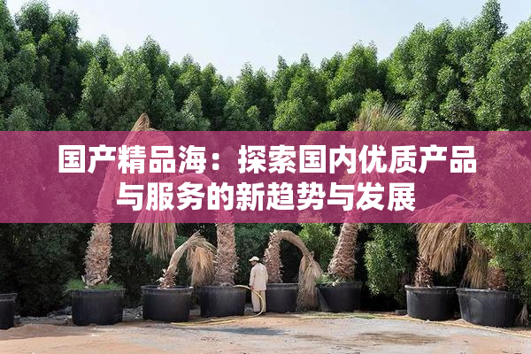 国产精品海：探索国内优质产品与服务的新趋势与发展