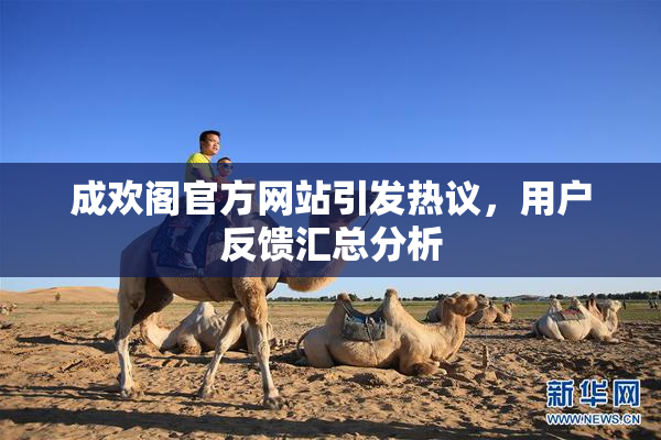成欢阁官方网站引发热议，用户反馈汇总分析