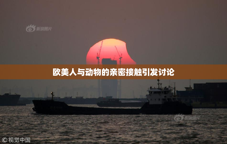 欧美人与动物的亲密接触引发讨论