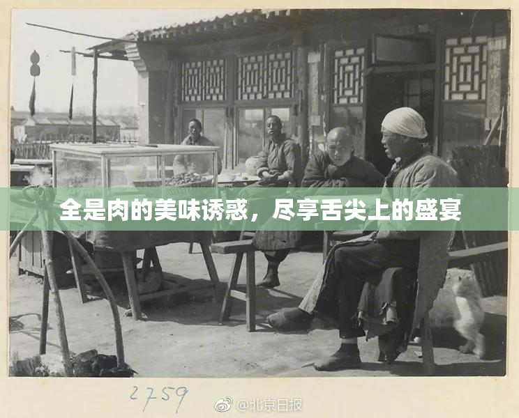 全是肉的美味诱惑，尽享舌尖上的盛宴