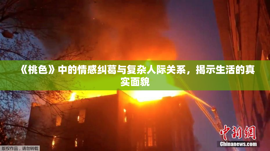 《桃色》中的情感纠葛与复杂人际关系，揭示生活的真实面貌