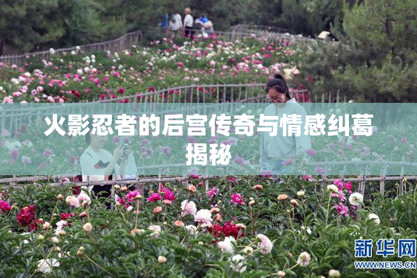 火影忍者的后宫传奇与情感纠葛揭秘
