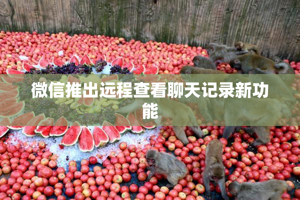 微信推出远程查看聊天记录新功能