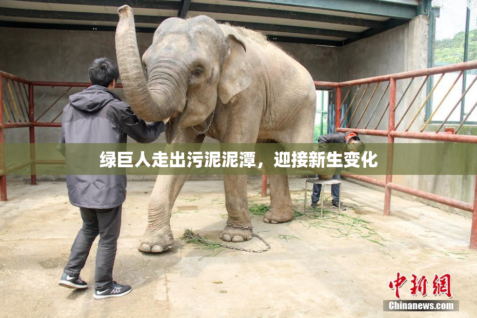绿巨人走出污泥泥潭，迎接新生变化