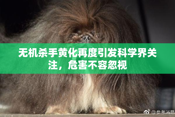 无机杀手黄化再度引发科学界关注，危害不容忽视