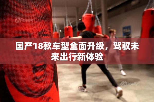 国产18款车型全面升级，驾驭未来出行新体验
