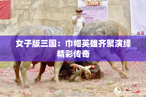 女子版三国：巾帼英雄齐聚演绎精彩传奇