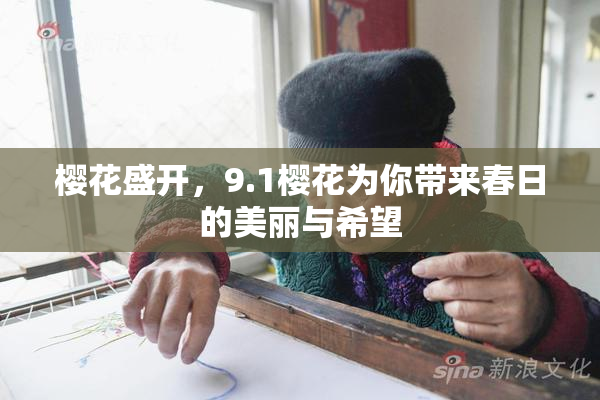 樱花盛开，9.1樱花为你带来春日的美丽与希望