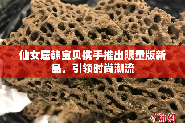 仙女屋韩宝贝携手推出限量版新品，引领时尚潮流