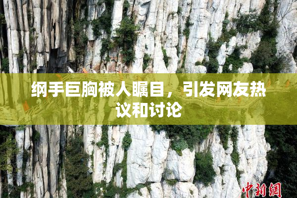 纲手巨胸被人瞩目，引发网友热议和讨论