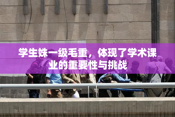 学生姝一级毛重，体现了学术课业的重要性与挑战