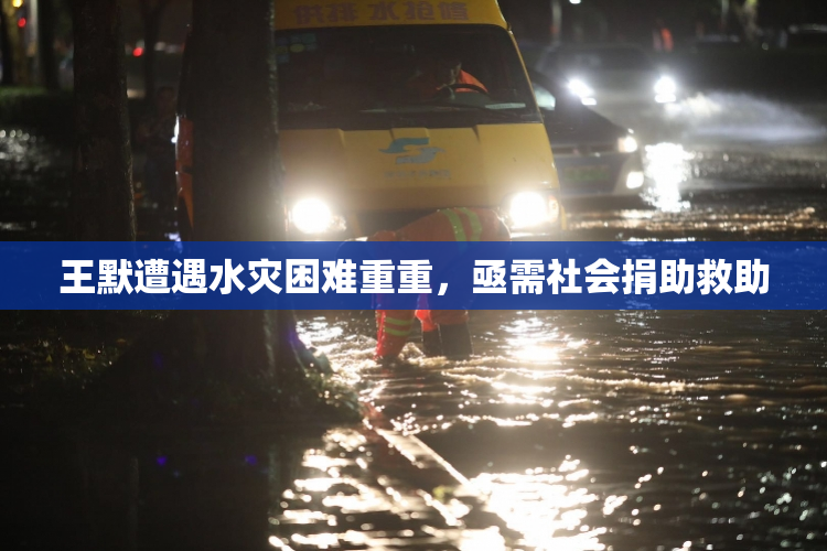 王默遭遇水灾困难重重，亟需社会捐助救助