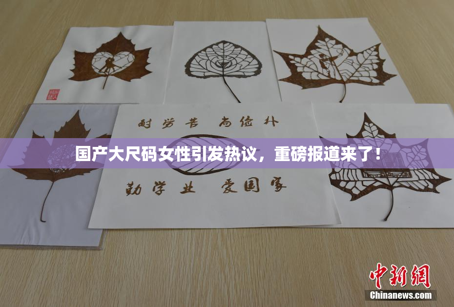 国产大尺码女性引发热议，重磅报道来了！
