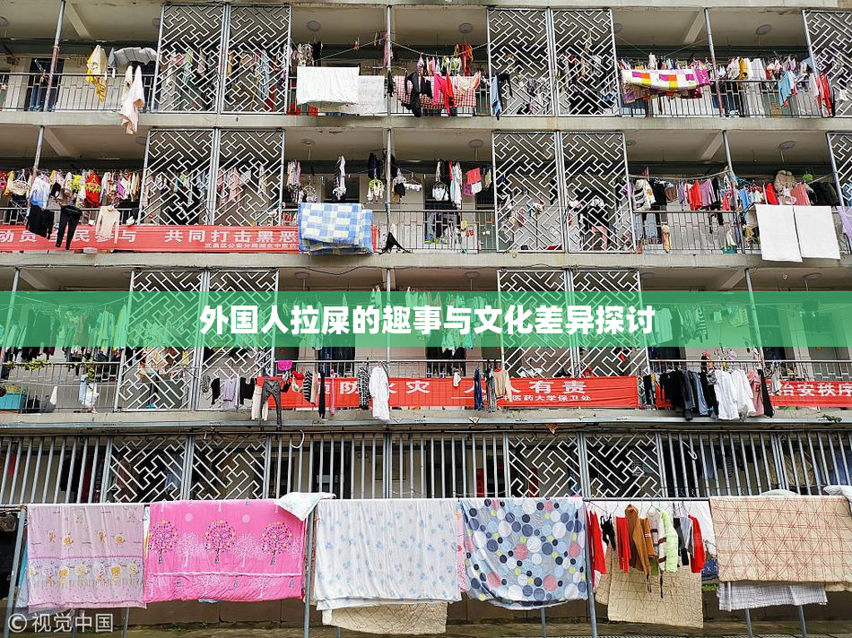 外国人拉屎的趣事与文化差异探讨